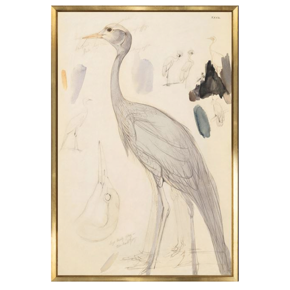 LEAR - DEMOISELLE CRANE - LARGE