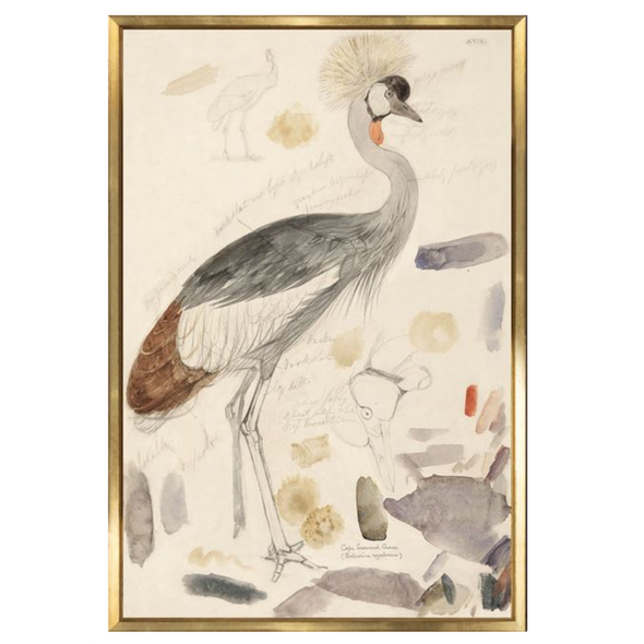 LEAR - SOUTH AFRICAN CROWNED CRANE - LARGE