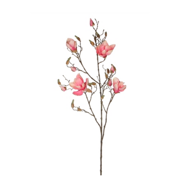 PINK MAGNOLIA