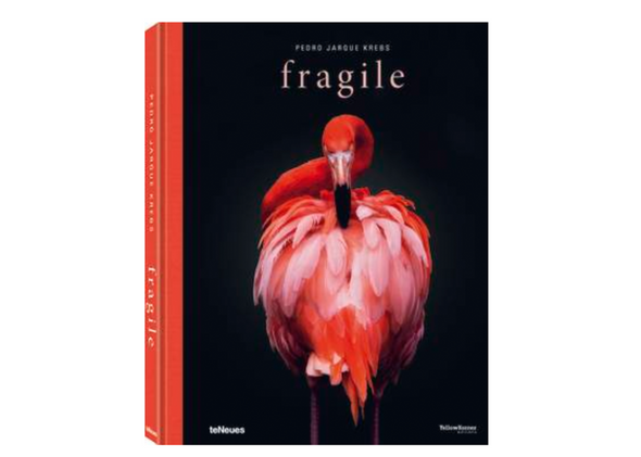 FRAGILE PEDRO JARQUE KREBS