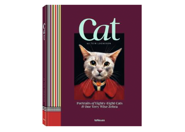 CAT TEIN LUCASSON